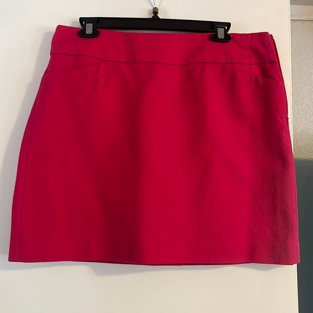 LOFT Skirt